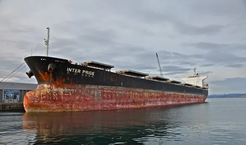 MAHAVIR Bulk Carrier IMO 9209491 photo 10