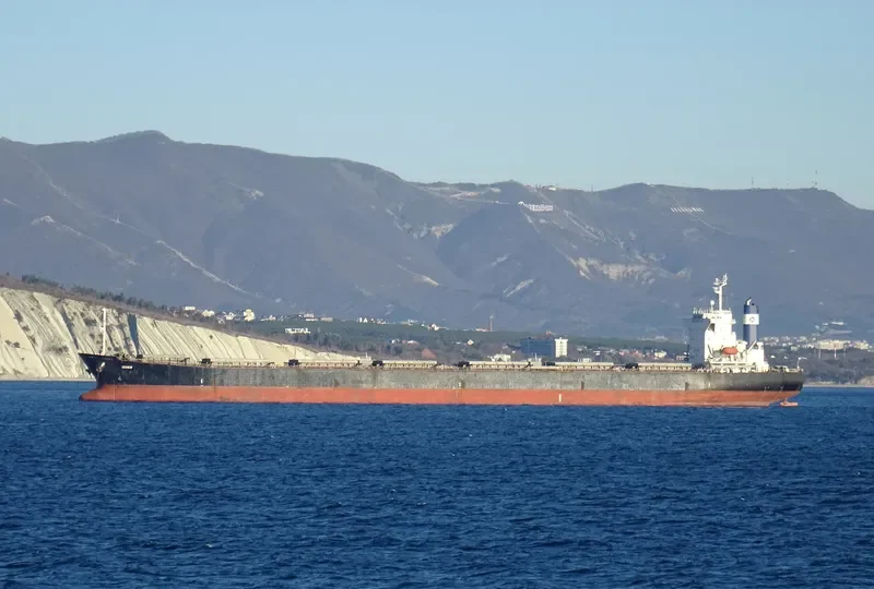 DENEB Bulk Carrier IMO 9209520