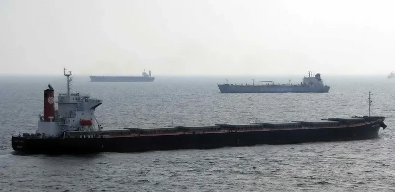 DENEB Bulk Carrier IMO 9209520 photo 5