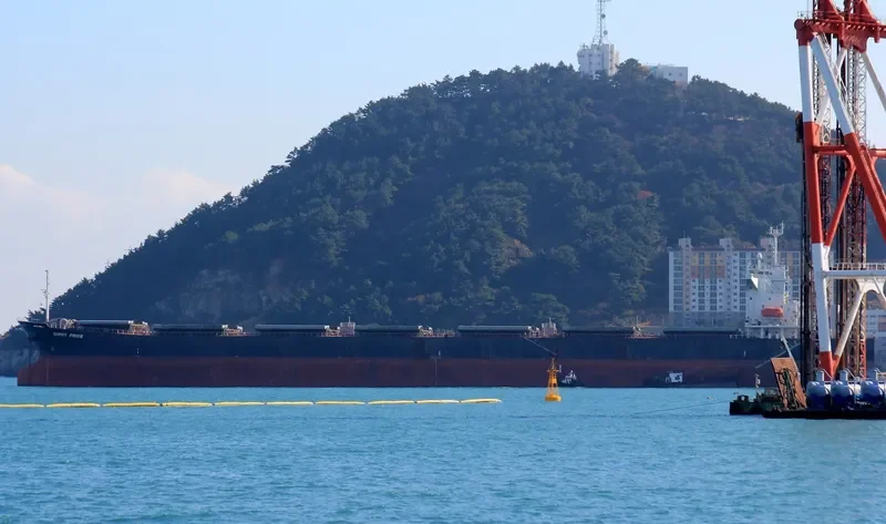 DENEB Bulk Carrier IMO 9209520 photo 9