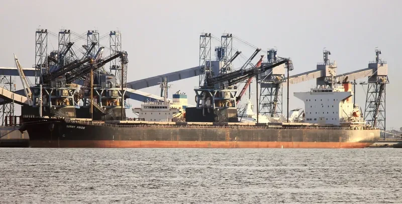 DENEB Bulk Carrier IMO 9209520 photo 10