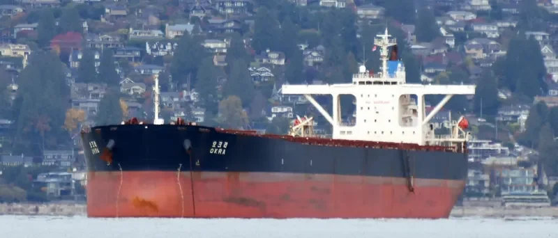 OKRA Bulk Carrier IMO 9209910 photo 4