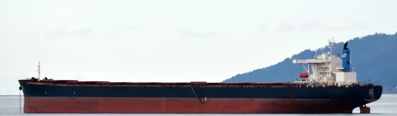 OKRA Bulk Carrier IMO 9209910 photo 5