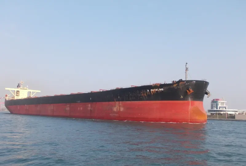 OKRA Bulk Carrier IMO 9209910 photo 10