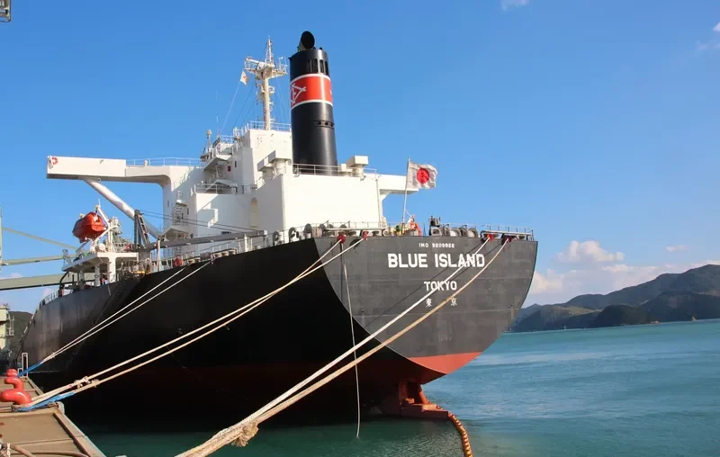 BLUE ISLAND 8 Bulk Carrier IMO 9209922 photo 4