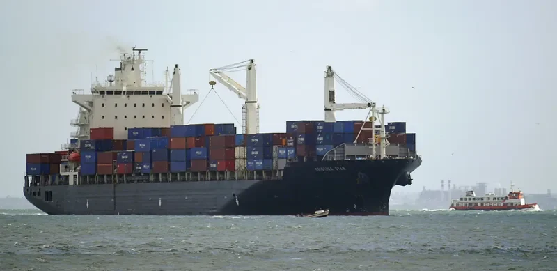MSC SINES R Container Ship IMO 9210098 photo 7