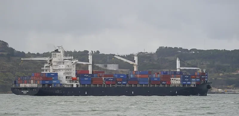 MSC SINES R Container Ship IMO 9210098 photo 22