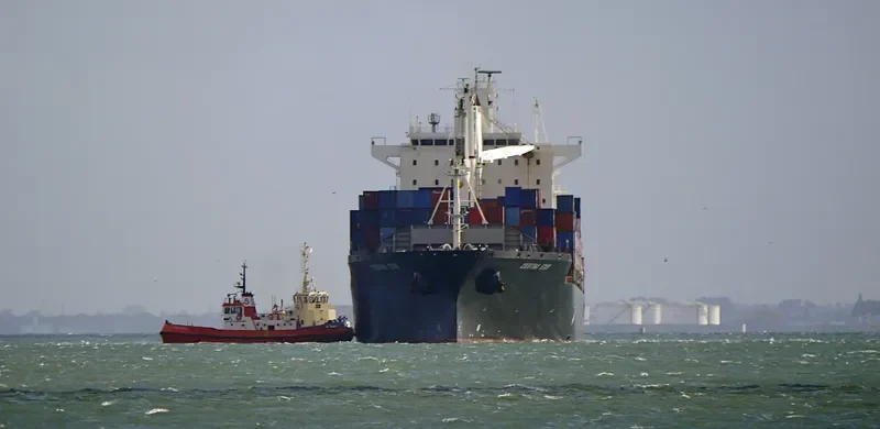 MSC SINES R Container Ship IMO 9210098 photo 36