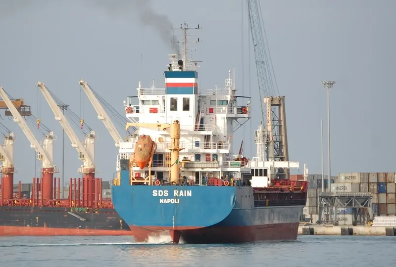 SDS RAIN General Cargo IMO 9210256 photo 4