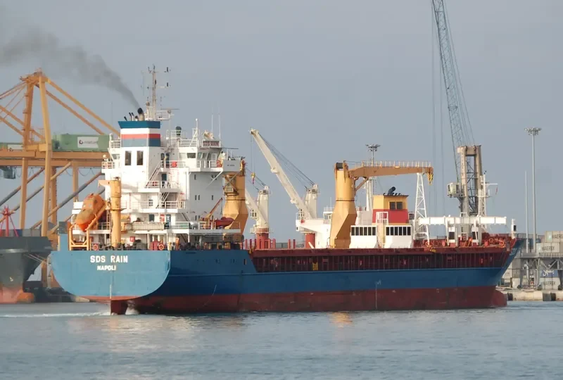 SDS RAIN General Cargo IMO 9210256 photo 5