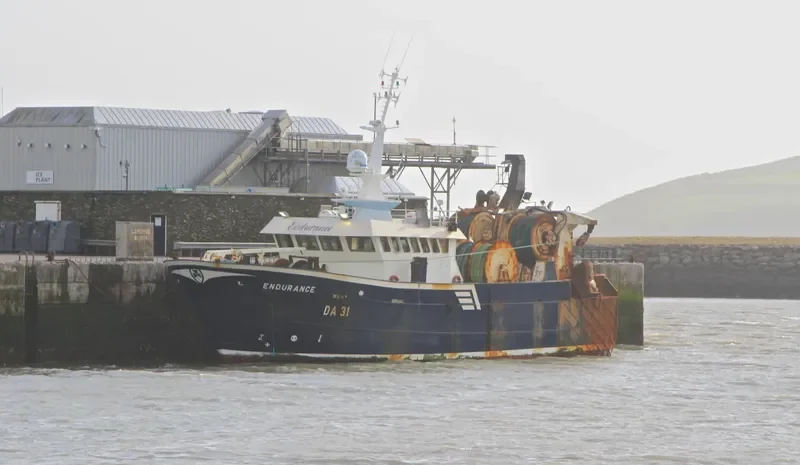 ENDURANCE General Cargo IMO 9210672 photo 7