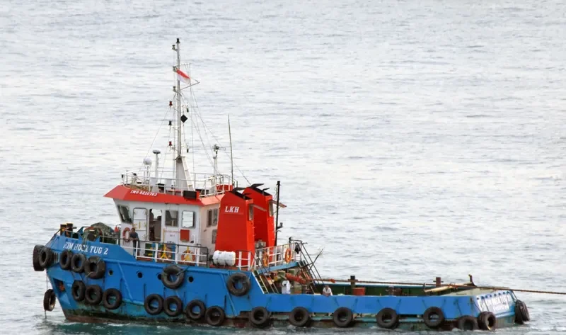 HK TUG 2 General Cargo IMO 9210763