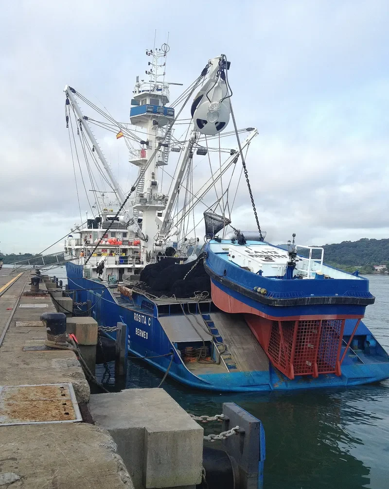 ROSITA C General Cargo IMO 9210969