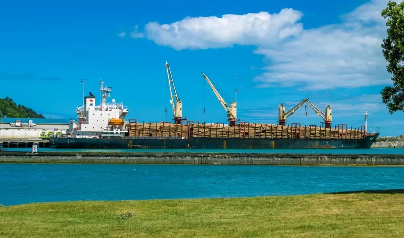 GOLDEN LOTUS Bulk Carrier IMO 9211559