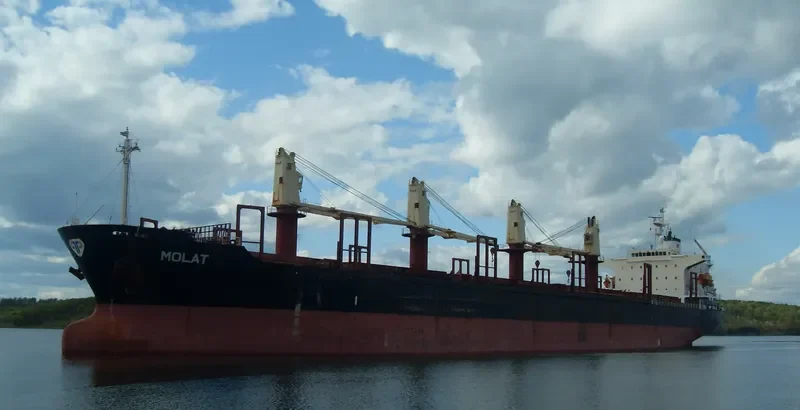 GOLDEN LOTUS Bulk Carrier IMO 9211559 photo 2