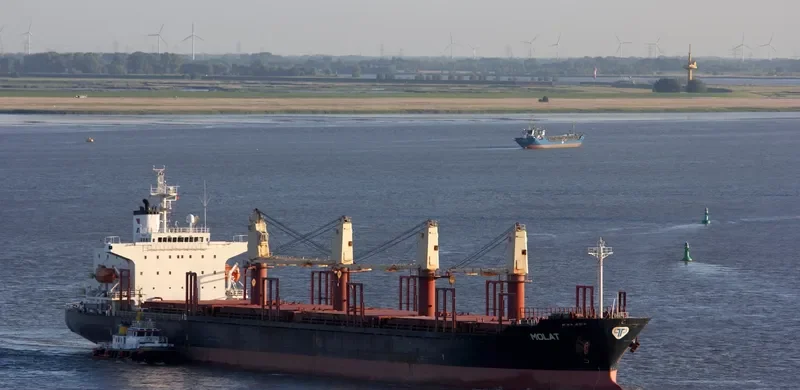 GOLDEN LOTUS Bulk Carrier IMO 9211559 photo 4