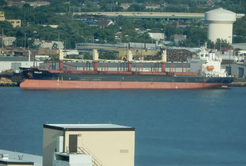GOLDEN LOTUS Bulk Carrier IMO 9211559 photo 9