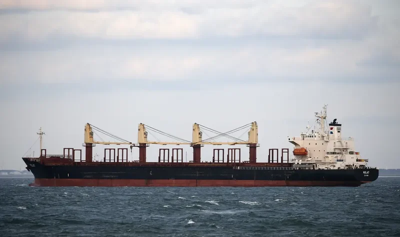 GOLDEN LOTUS Bulk Carrier IMO 9211559 photo 10