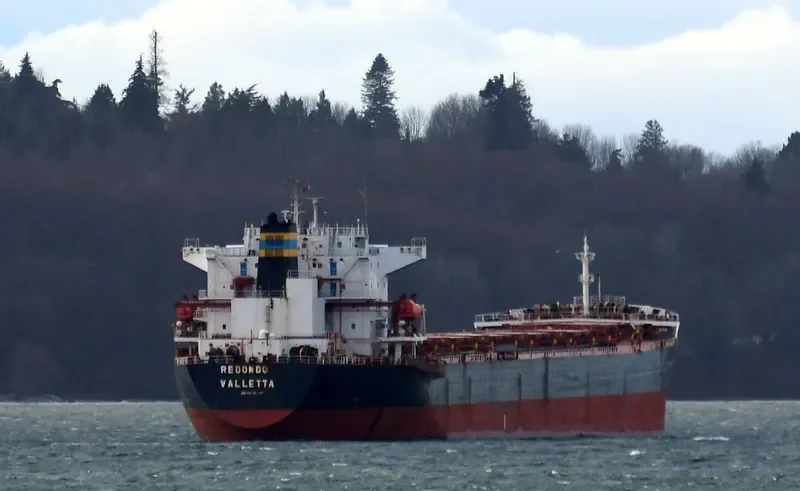 BEI LUN HAI 17 Bulk Carrier IMO 9211597 photo 2