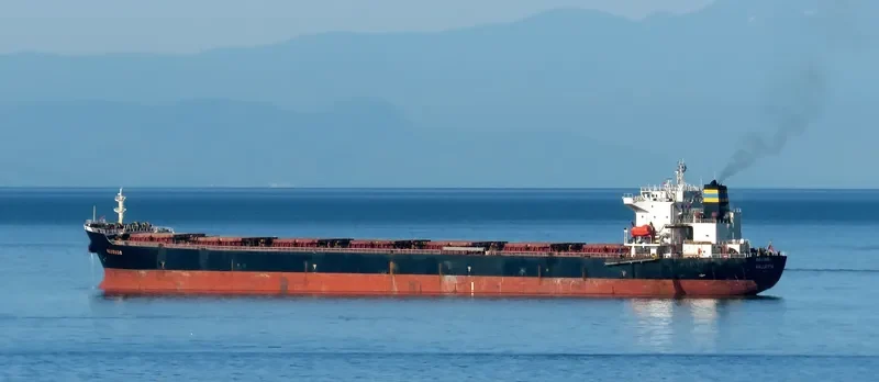 BEI LUN HAI 17 Bulk Carrier IMO 9211597 photo 7