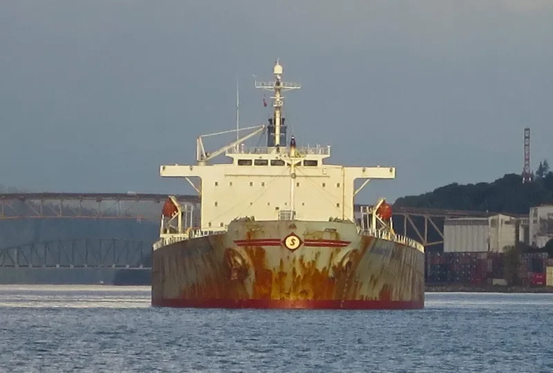 XIN YUAN CHUN Bulk Carrier IMO 9211602