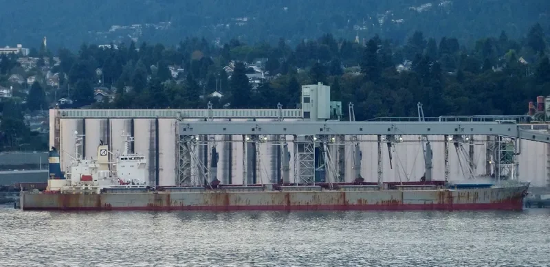 XIN YUAN CHUN Bulk Carrier IMO 9211602 photo 5