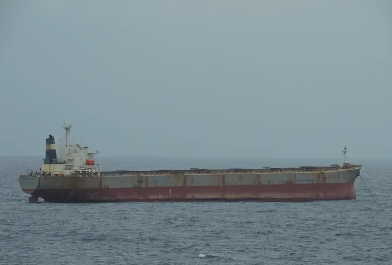 XIN YUAN CHUN Bulk Carrier IMO 9211602 photo 9