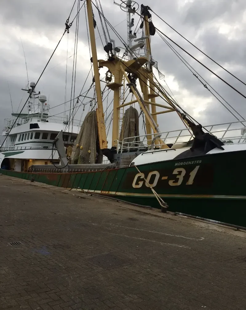 MORGENSTER General Cargo IMO 9211640