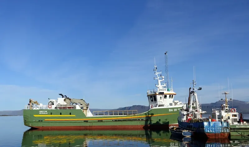 GRETTIR General Cargo IMO 9211731 photo 7