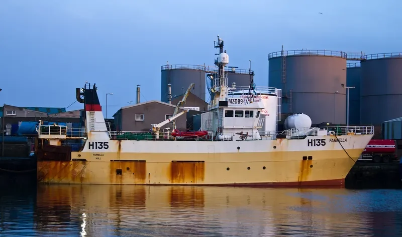 FARNELLA General Cargo IMO 9211808 photo 4