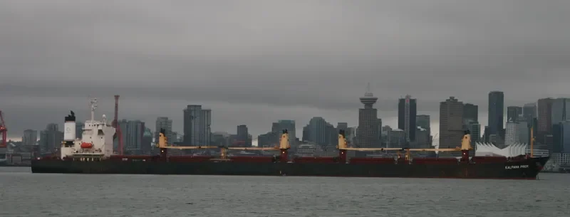 KALPANA PREM Bulk Carrier IMO 9212254 photo 9