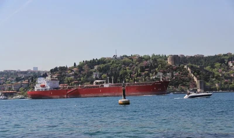 SEA RIDER Tanker IMO 9212412 photo 10