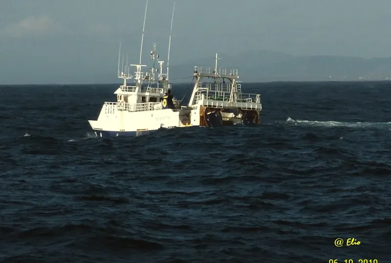 PESCABERBES TRES General Cargo IMO 9212591 photo 8