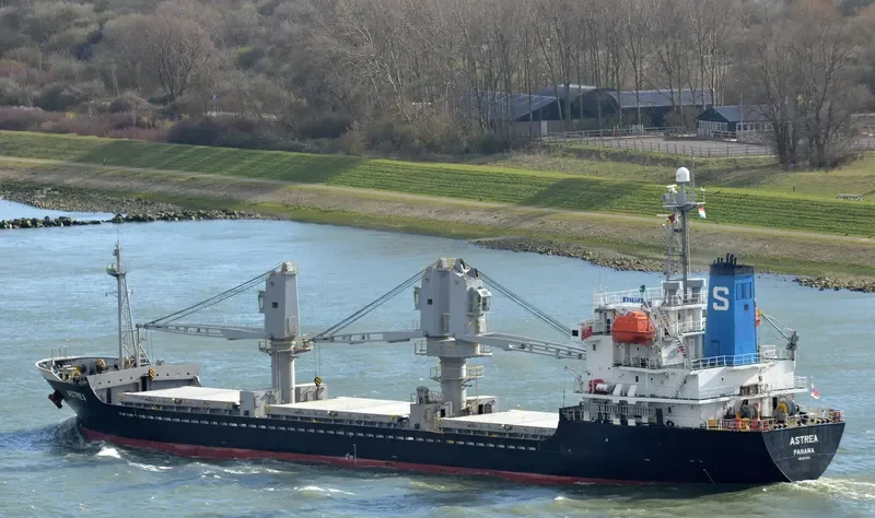 PROTEAS II General Cargo IMO 9212620 photo 10