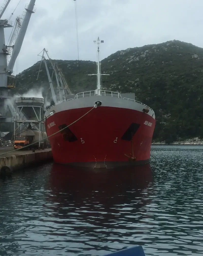 SEA MUSIC General Cargo IMO 9212773 photo 7