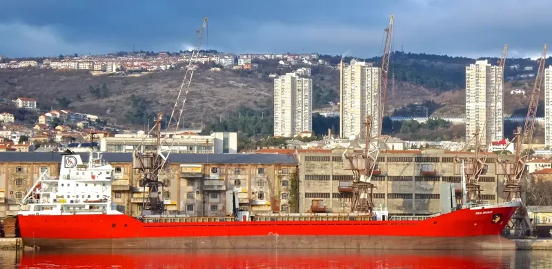 SEA MUSIC General Cargo IMO 9212773 photo 9