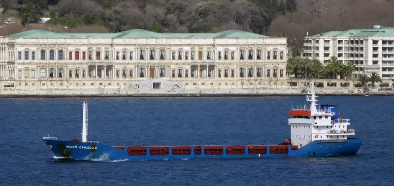 NECATI CAVUSOGLU Container Ship IMO 9212785 photo 8