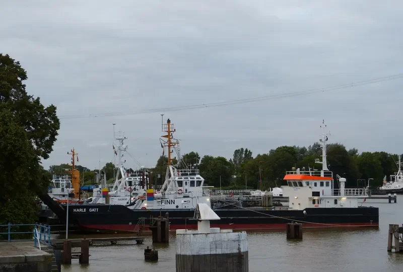 HARLE GATT General Cargo IMO 9212814 photo 9