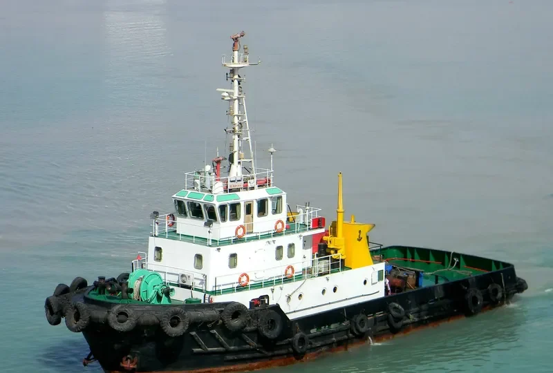AL RAYIAH General Cargo IMO 9212852 photo 2