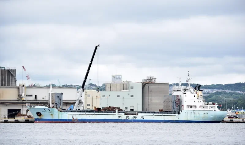 LIANG CHUAN General Cargo IMO 9212931 photo 8