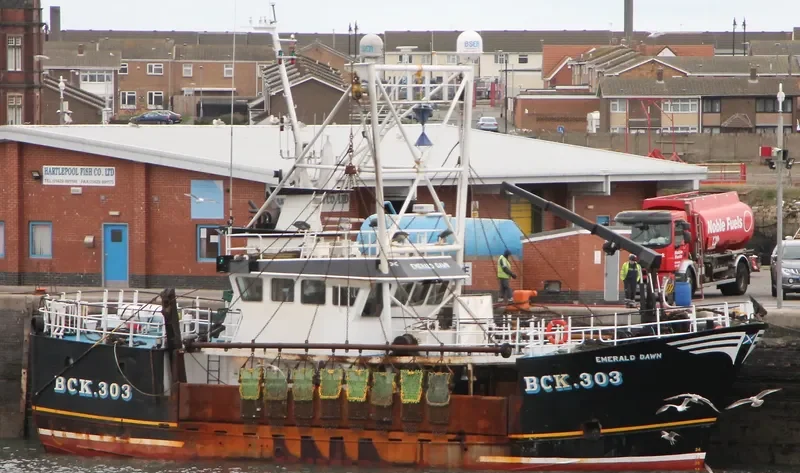 EMERALD DAWN BCK303 General Cargo IMO 9213076 photo 9