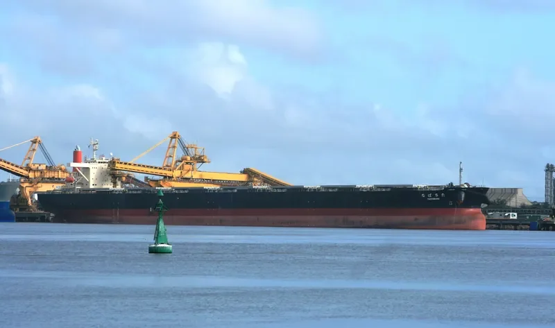 TACHIBANA Bulk Carrier IMO 9213167 photo 9