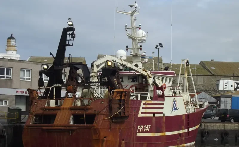 MINERVA General Cargo IMO 9213349 photo 9