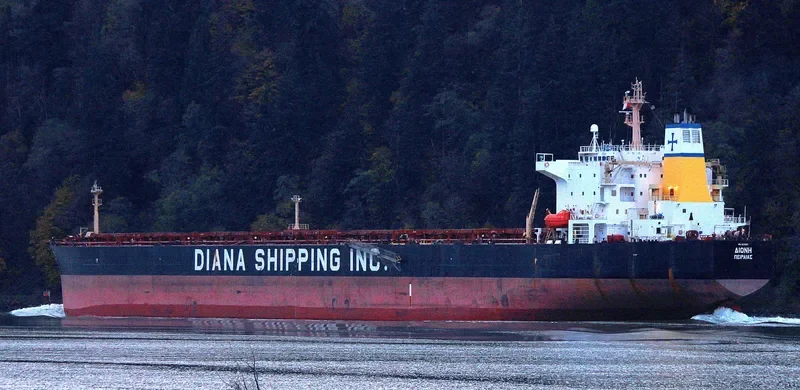 SHUN FU XING Bulk Carrier IMO 9213363