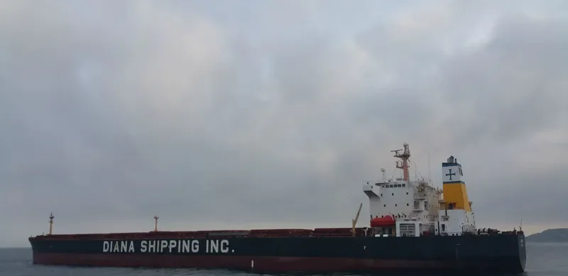 SHUN FU XING Bulk Carrier IMO 9213363 photo 4