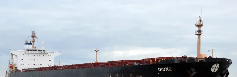 SHUN FU XING Bulk Carrier IMO 9213363 photo 5