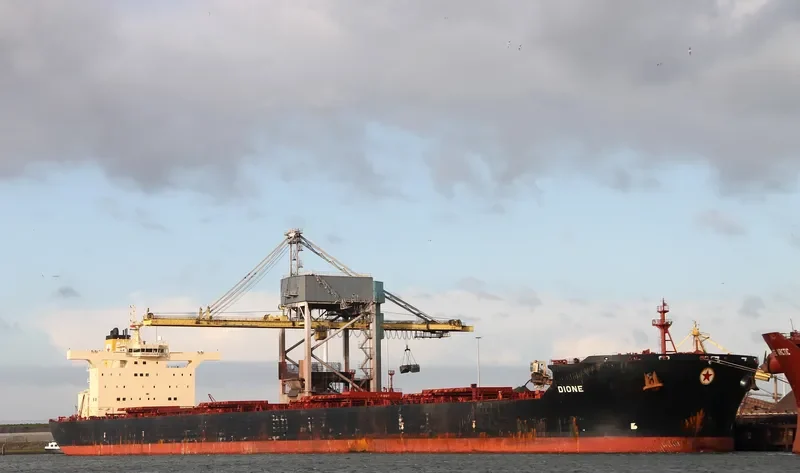 SHUN FU XING Bulk Carrier IMO 9213363 photo 7