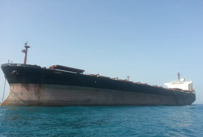 TERMEH Bulk Carrier IMO 9213399