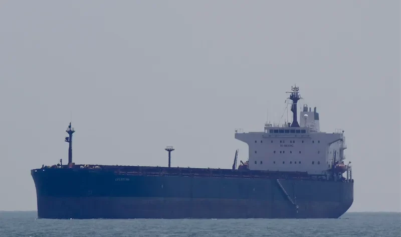 TERMEH Bulk Carrier IMO 9213399 photo 2