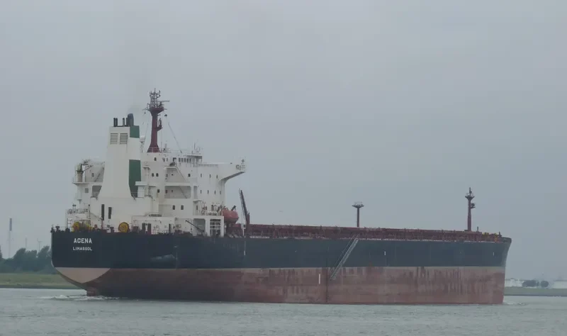 TERMEH Bulk Carrier IMO 9213399 photo 4